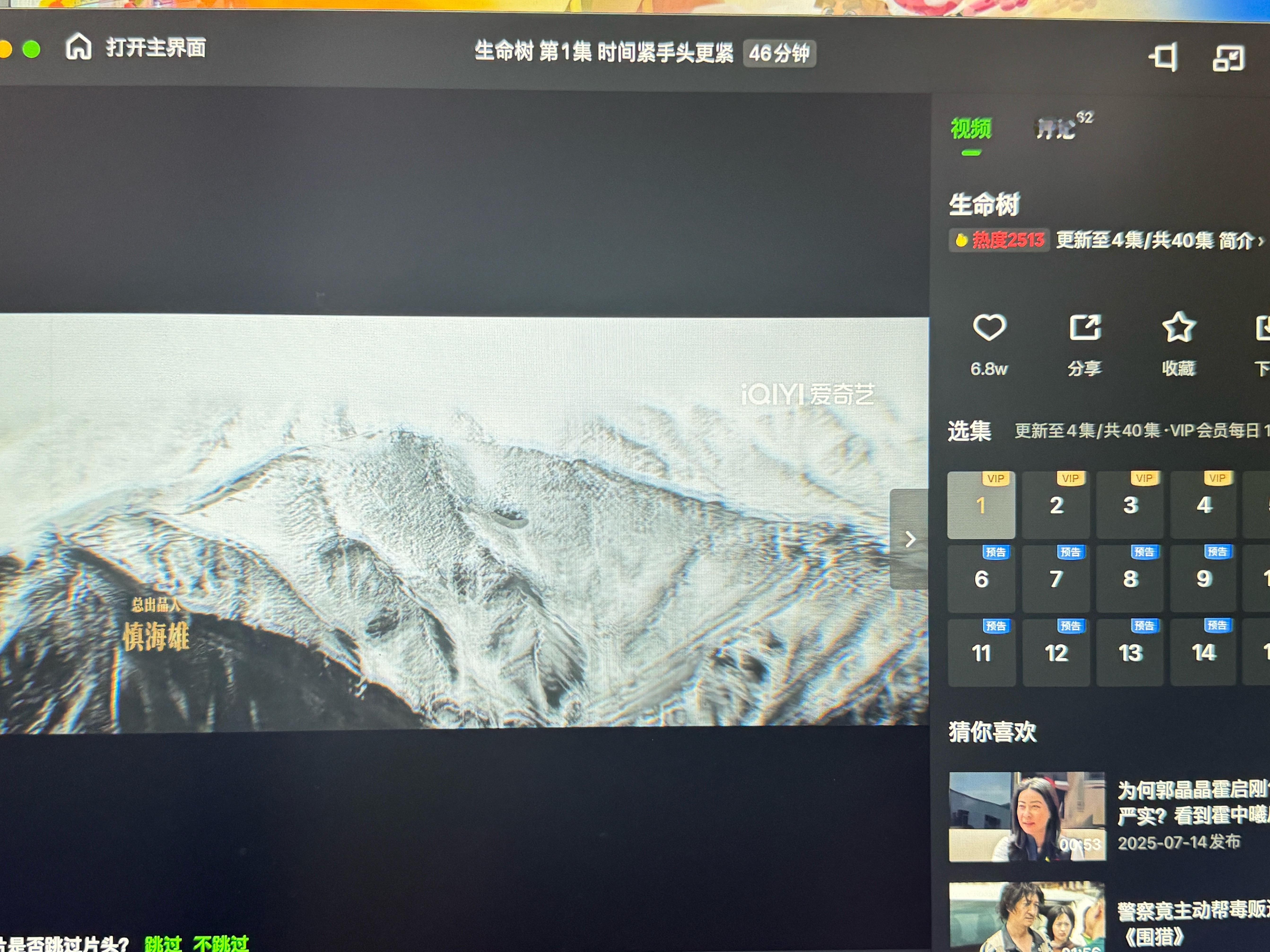 生命树 开始了！！！ 