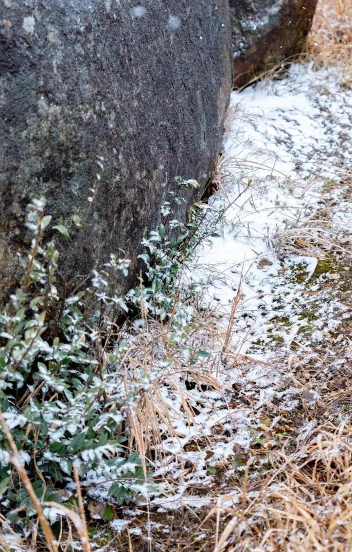 上联：雪映枯枝上
下联：[爆竹][爆竹][爆竹]
