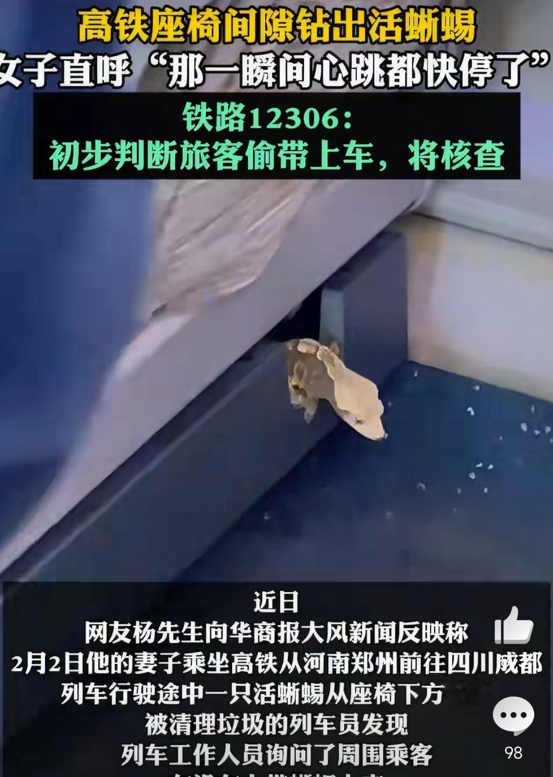 安检怎么过的[what][what]？
高铁座椅里钻出活蜥蜴？！
高铁明明禁止带