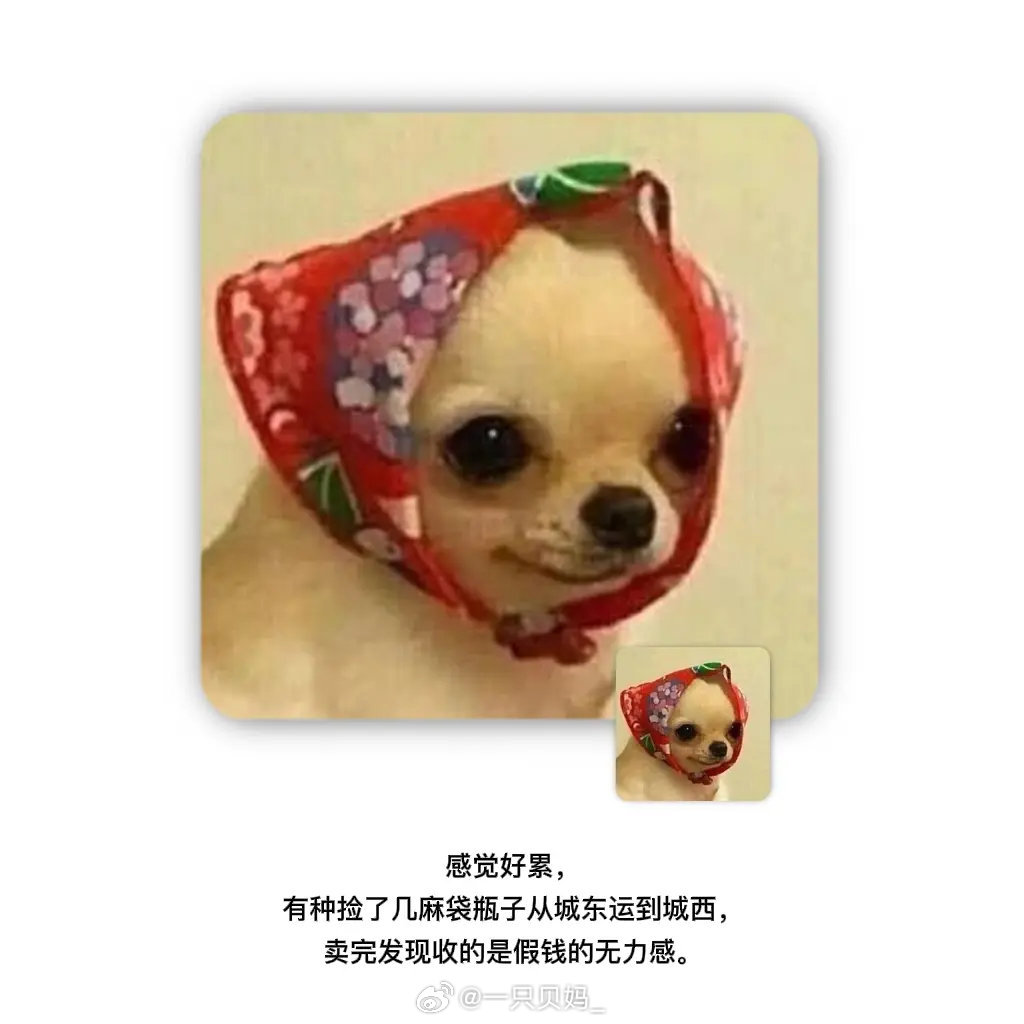 开完会要出会议纪要的我：懵逼 