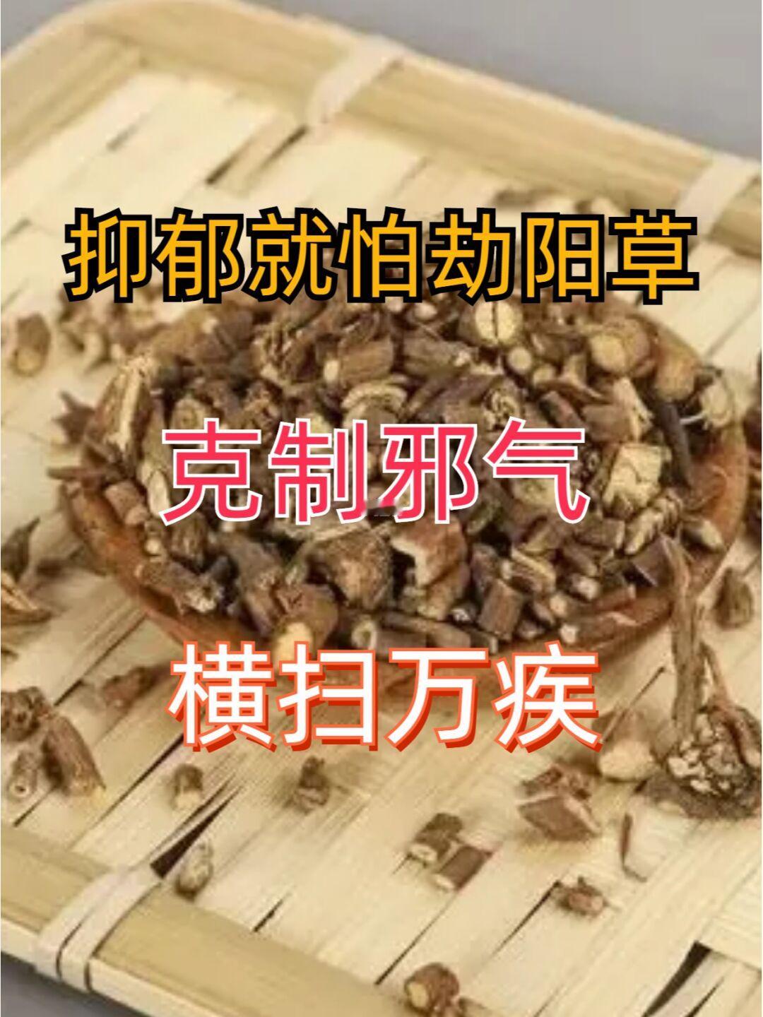 抑郁就怕“劫阳草”