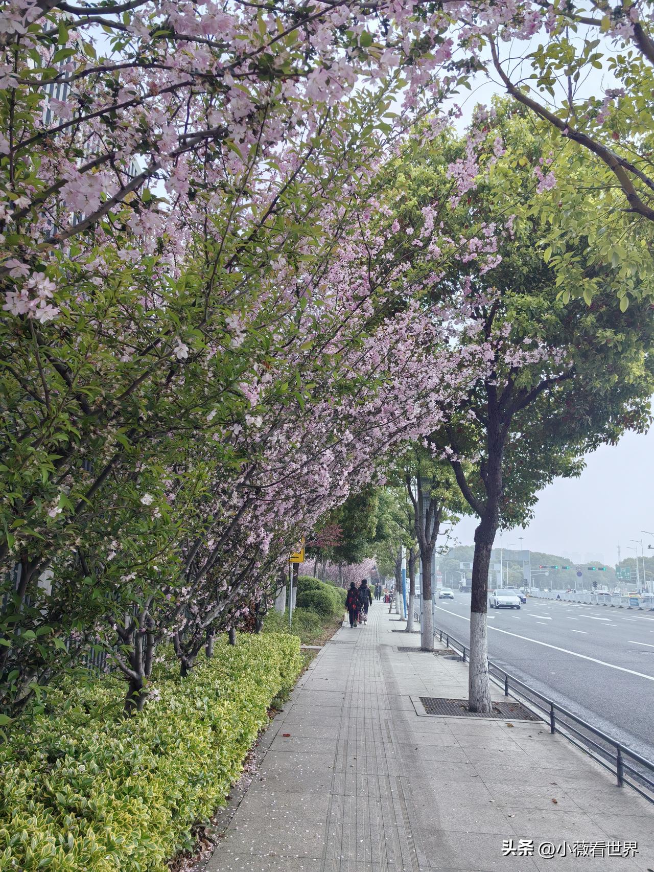 今天，居然遇到一个和我同名字的人，真是无巧不成书啊！

不过说实话，从小到大，遇