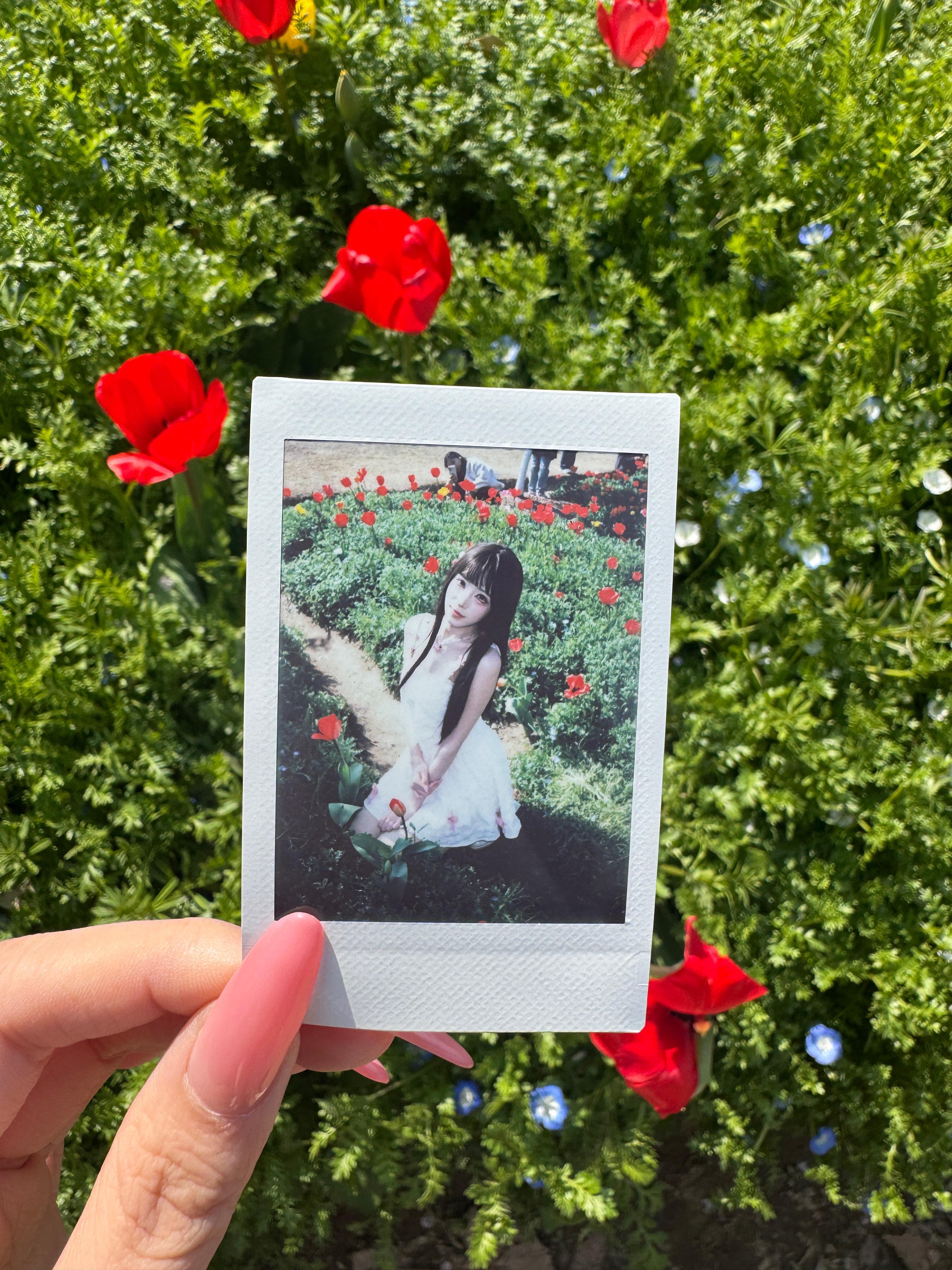 樱花 初恋白月光美女 🌸🌸🌸日常分享 点击live图动一动～ 