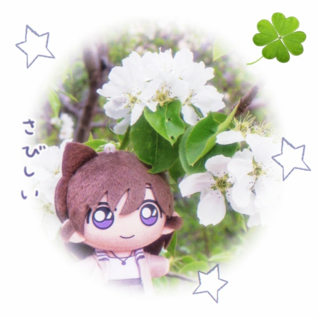 和小角一起赏花 国漫黄金十年 ​​​