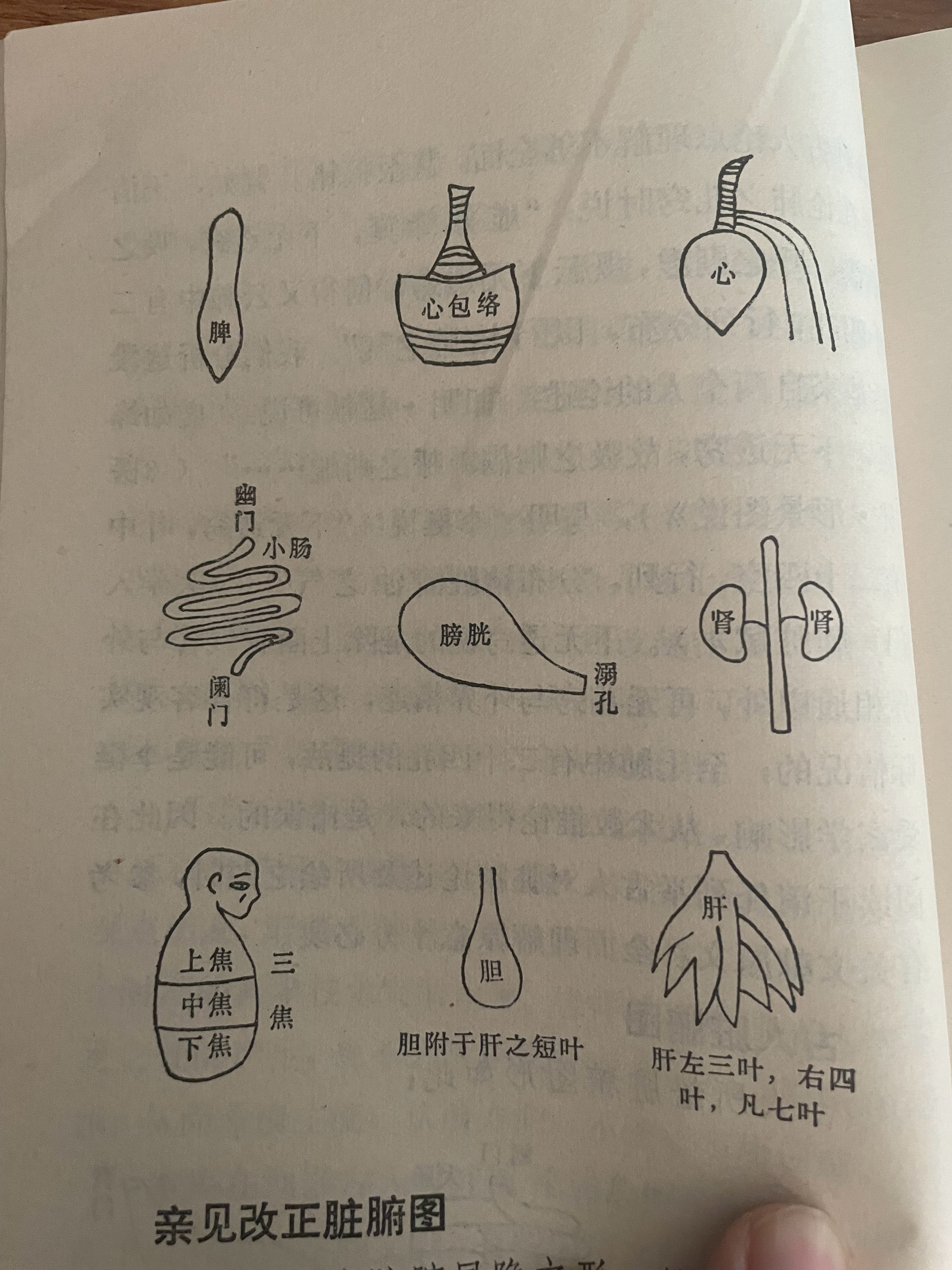 截图自中国古代解剖学巅峰之作《医林改错》，该书的作者是王清任（1768-1831