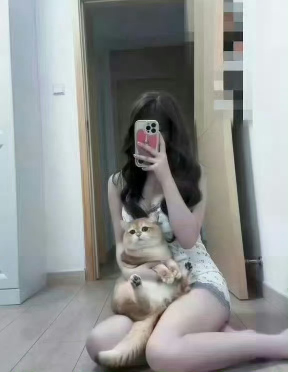 居家自拍  广州·长隆欢乐世界