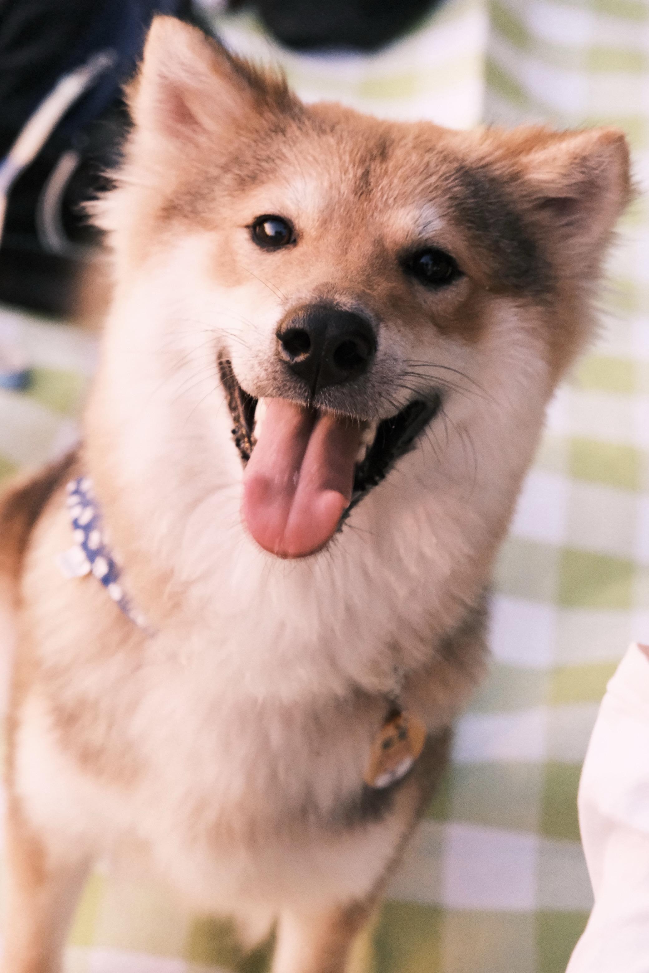 有机会的话，下辈子来当爸爸妈妈真正孩子吧。