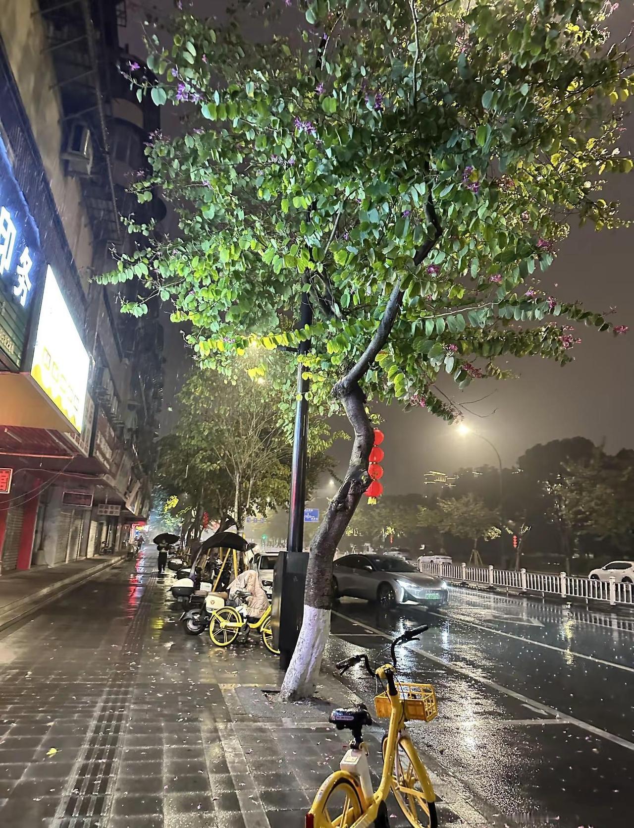 原本这些都是分享给你的