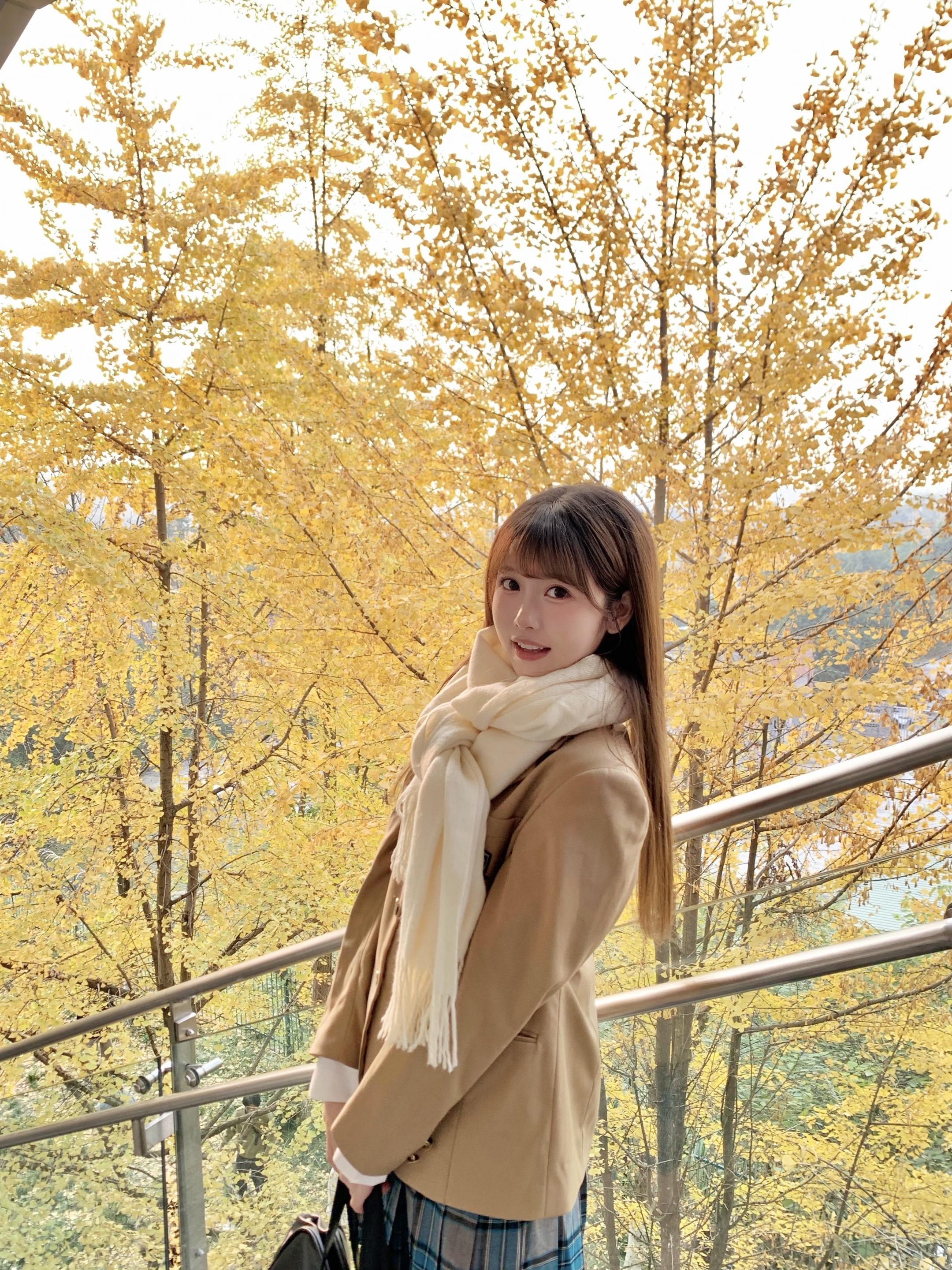 🍁