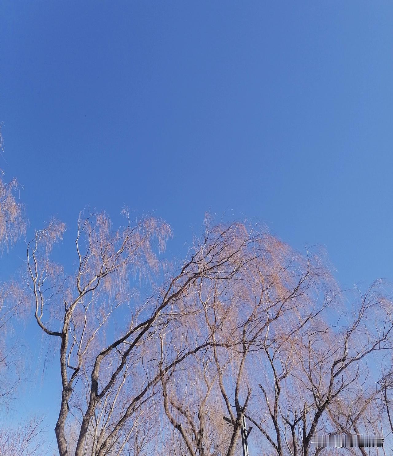 哈哈，我的同事，邻座的小伙子，被女朋友训了！

我一边整理材料，一边听他唠叨。自