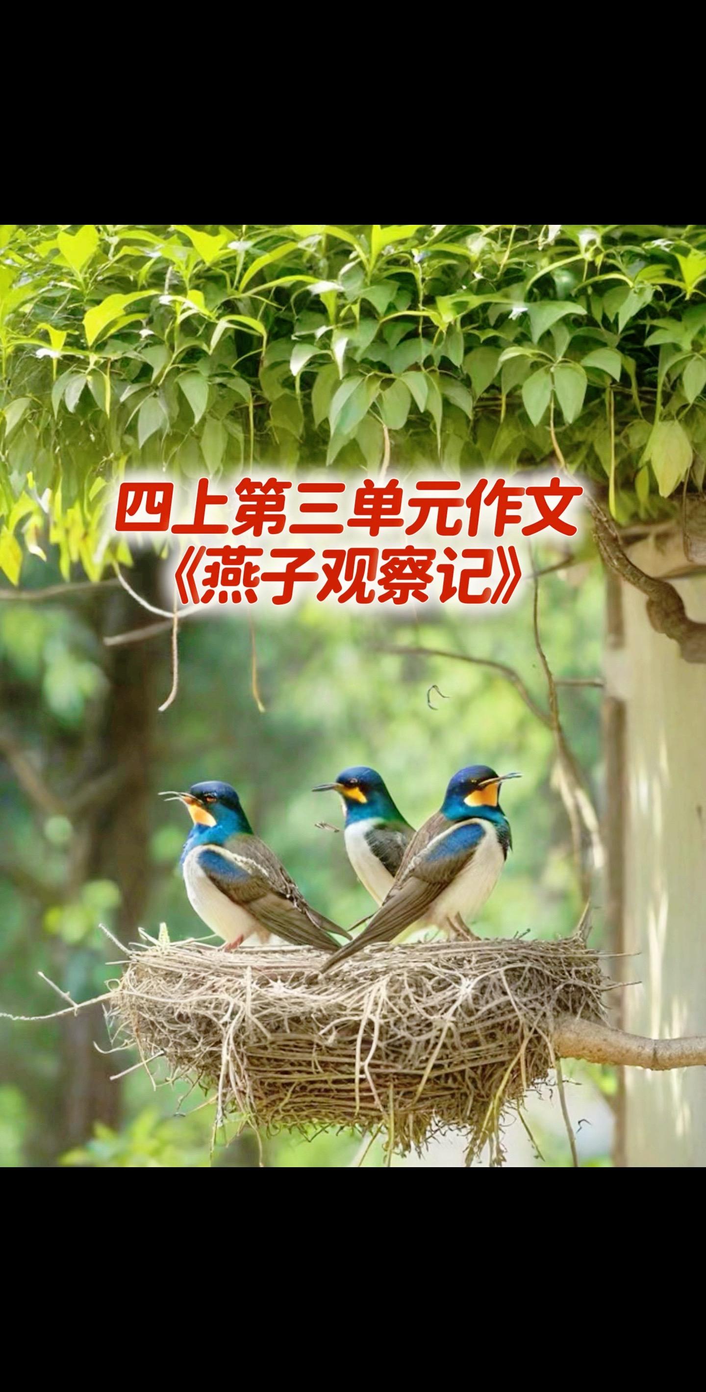 四上第三单元习作，同步优秀范文，来了！家长必读，小学四年级上册第三单元...