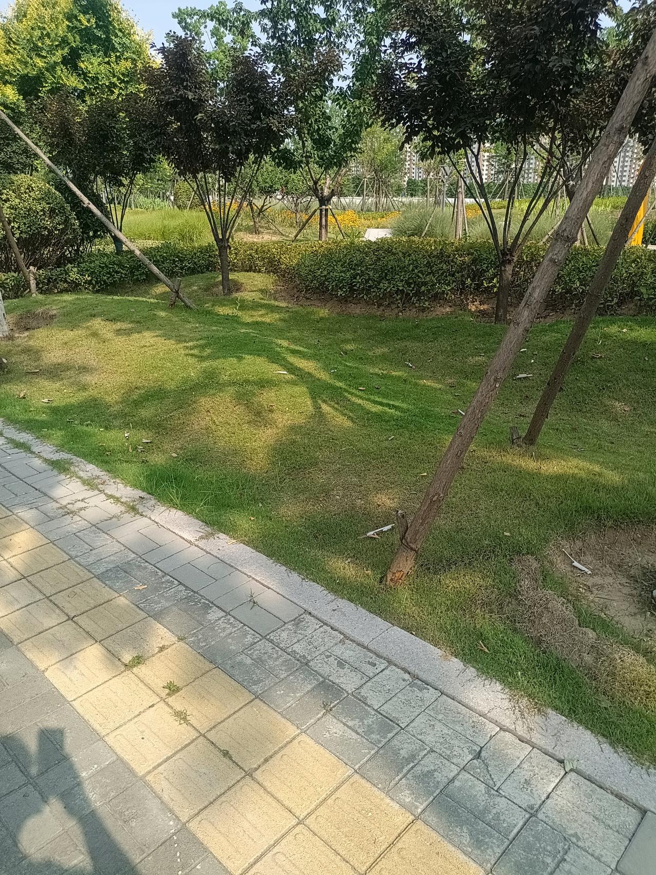 王立群教授再次语出惊人：“不论封建帝王的口号多么宏大，无非就是打江山、坐金銮、睡