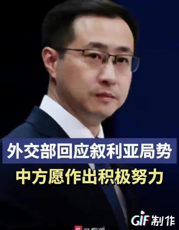 中国在叙利亚问题上也表明立场支持叙利亚政府，并且会做出积极努力，我们说话一向严谨