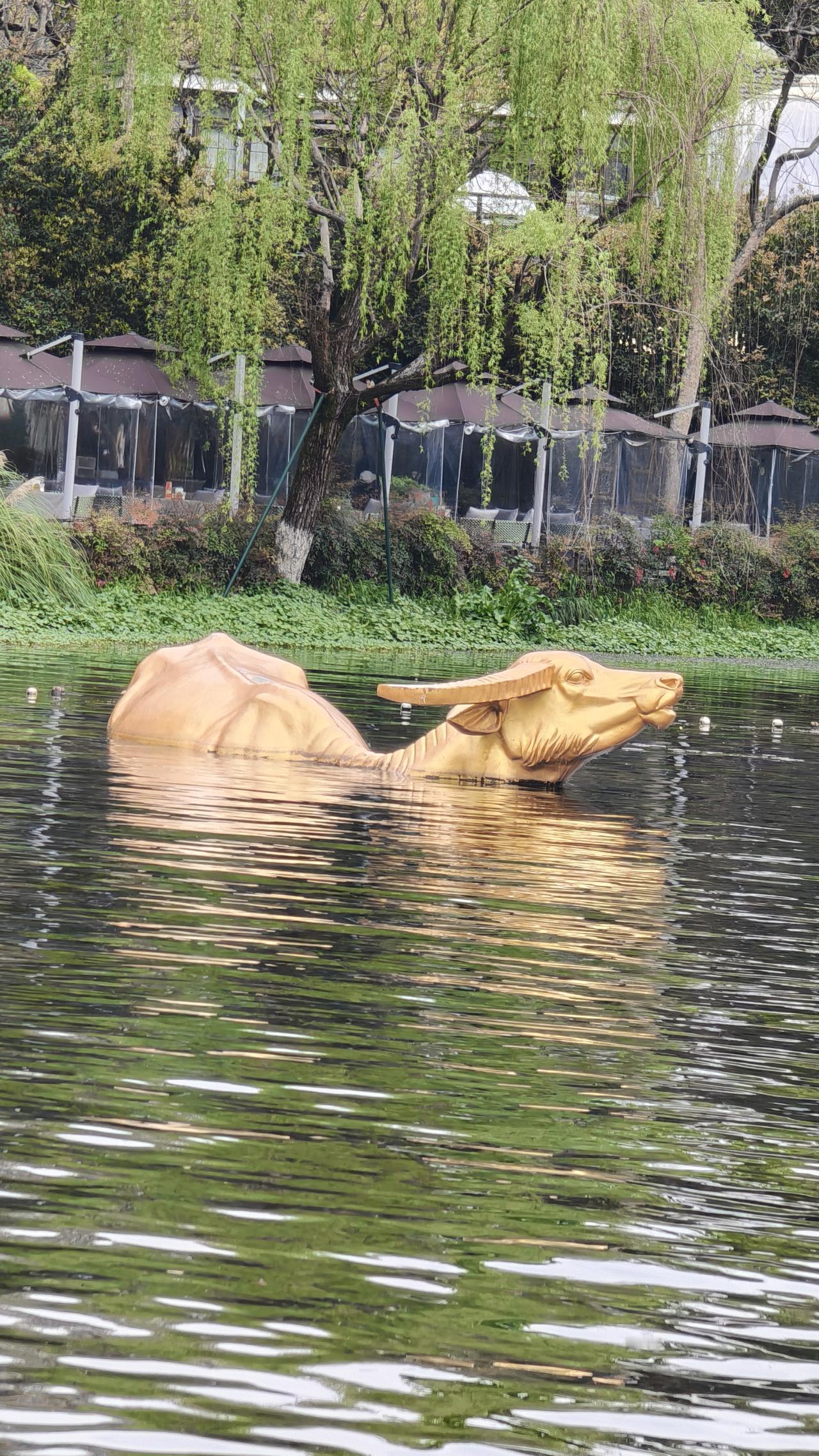 分享一张你在西湖拍的最漂亮照片这些就是我在西湖边上拍的照片，漂不漂亮我也不清楚，