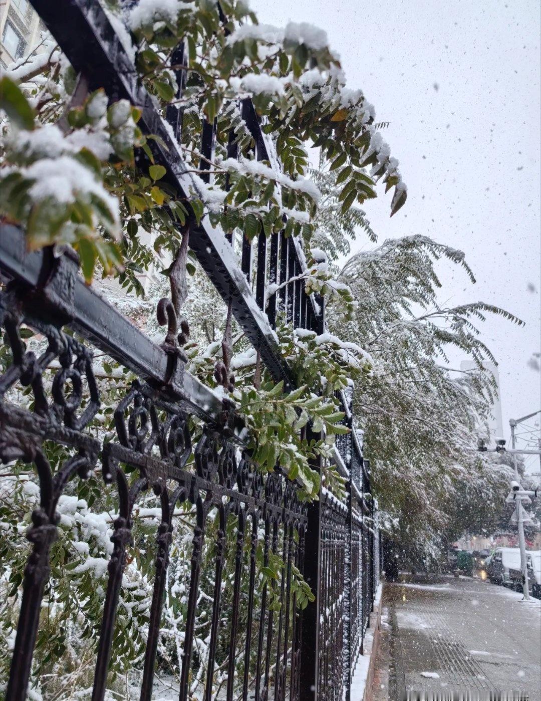 我的城市下雪了，乌鲁木齐2025年的第一场雪，雨夹杂着雪，合着淡淡的雾气，最终完