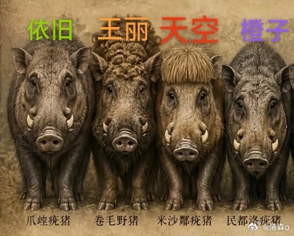 星光汇聚，四人相伴——《粉圈F4》踏光出道，所有炽热的热爱终有归处。一番:特别出