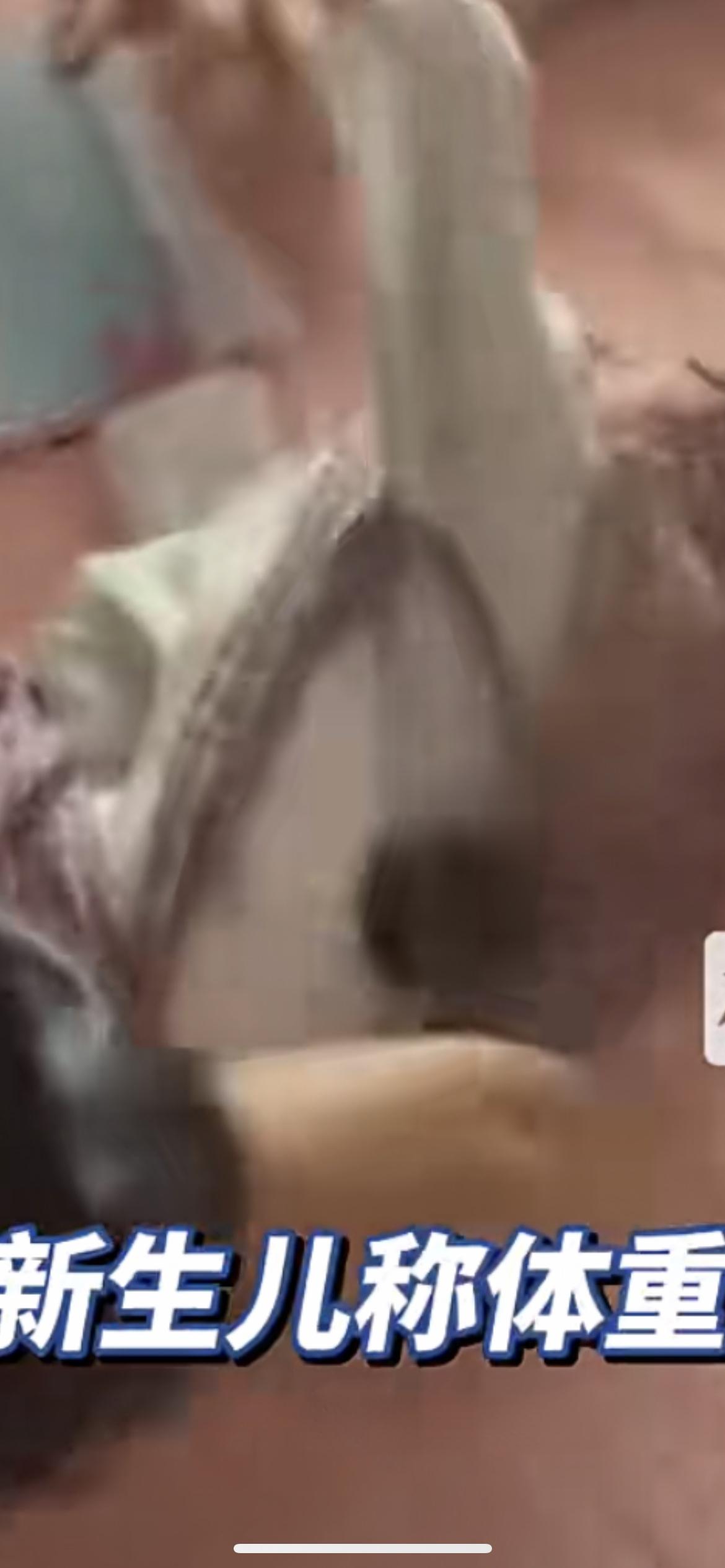 4月13日，卫生院用杆秤给新生儿称重，不料布袋中途脱落，新生儿母亲称女婴出生仅4