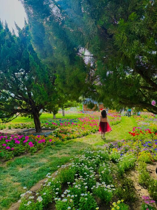 4.17live不是瑞士🇨🇭是北京的莫奈花园🌳🌼