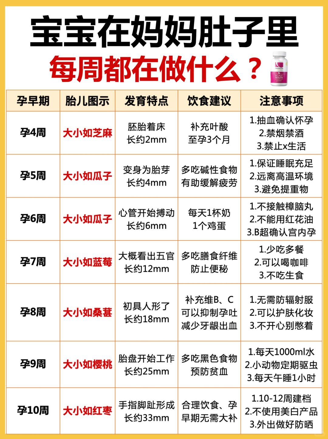 怀孕后宝宝每周都在做什么❓附孕妈注意事项！