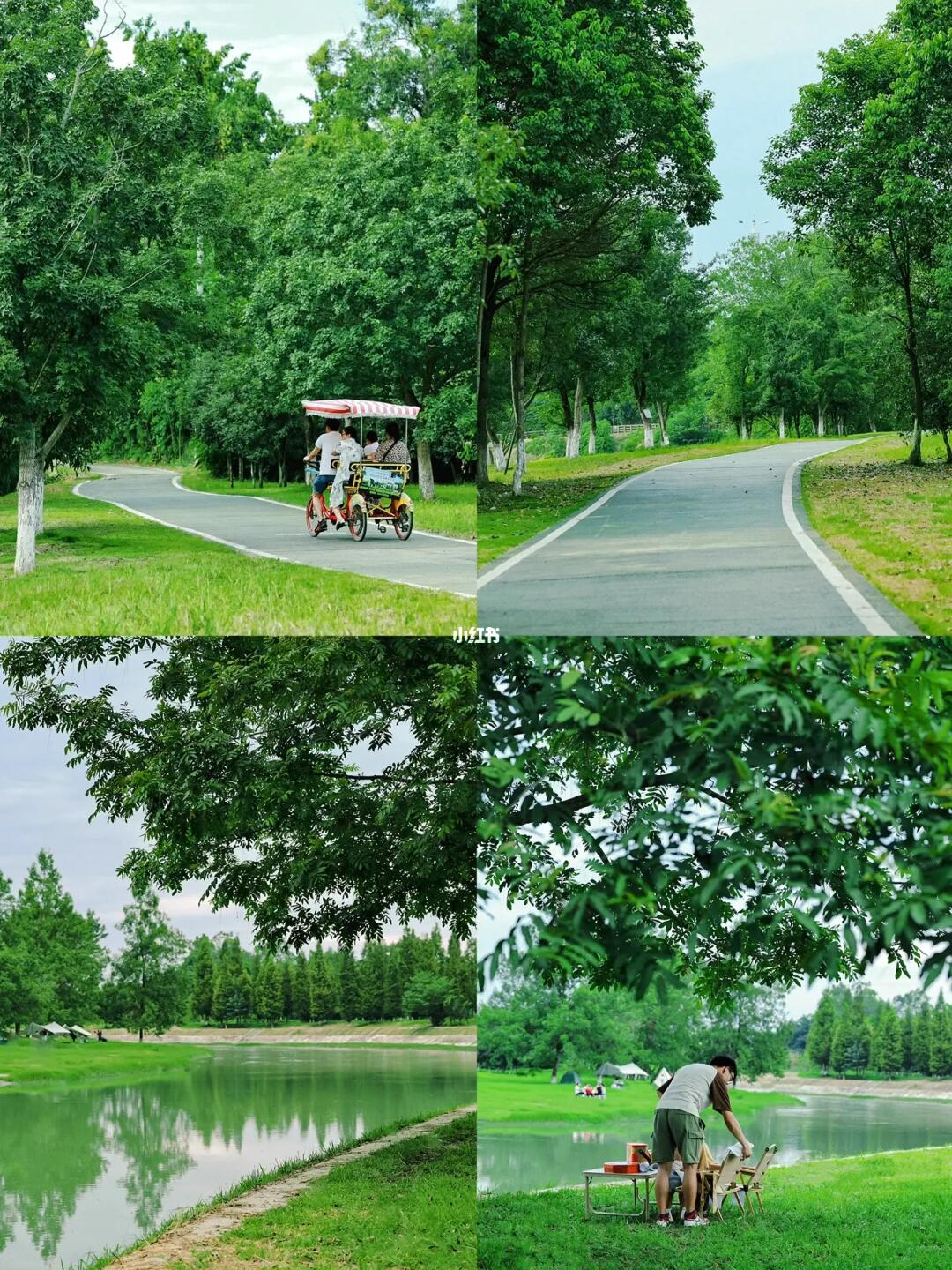 成都小众露营地🏕️我爱惨了这片森林湖畔~