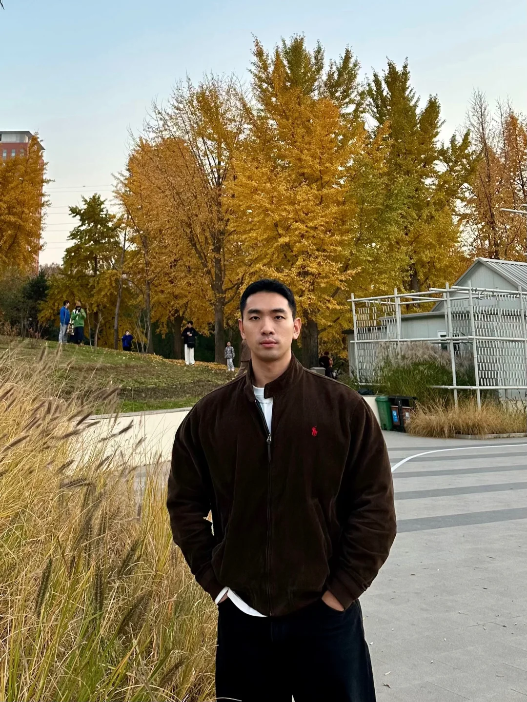 北京赏秋还可以来这里🍂