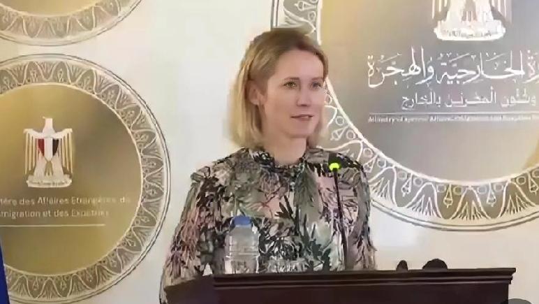 埃及是欧盟不可或缺的合作伙伴。
其外交领导力在防止中东局势进一步动荡方面发挥了至