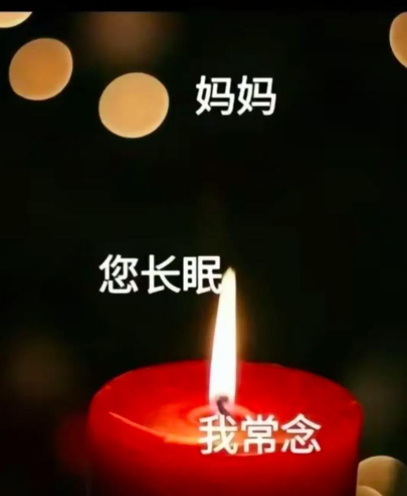 悼母文

妈妈，您突然离去，如流星划过，留我于无尽黑暗。您的音容笑貌，萦绕心间。