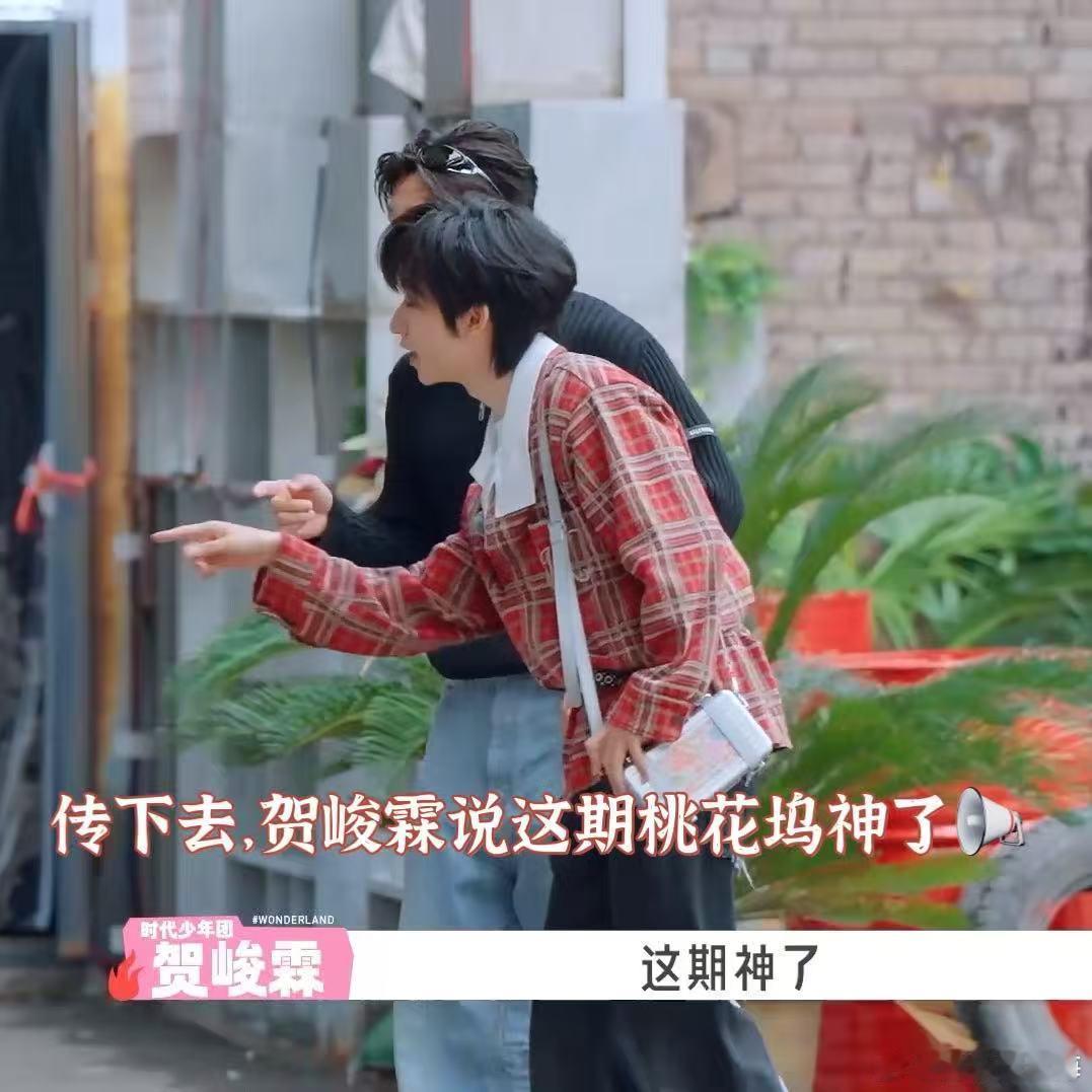 贺峻霖说桃花坞这期神了贺峻霖带着抽象烂梗来了谁能拒绝满是笑点的桃花坞，贺峻霖的抽