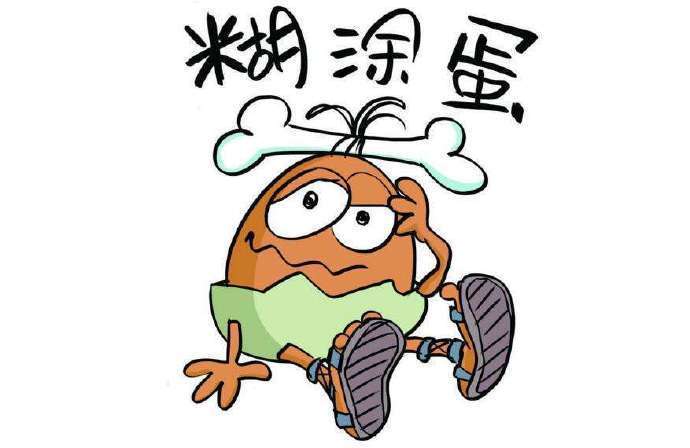 🌷                 过得积极是为了生活            
