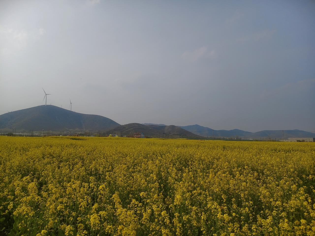 什么是中国画的笔墨? 中国画的笔墨，那可是中国画的灵魂所在。笔墨里的“笔”，指的