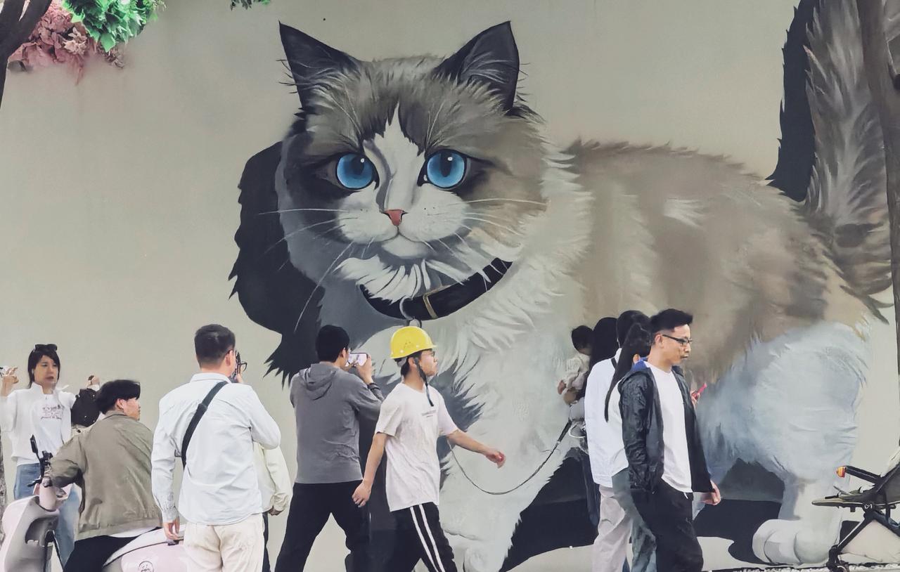 布偶猫壁画蹲在墙角，用蓝宝石的眼睛注视着行色匆匆的路人，它不说话，却像一面镜子，
