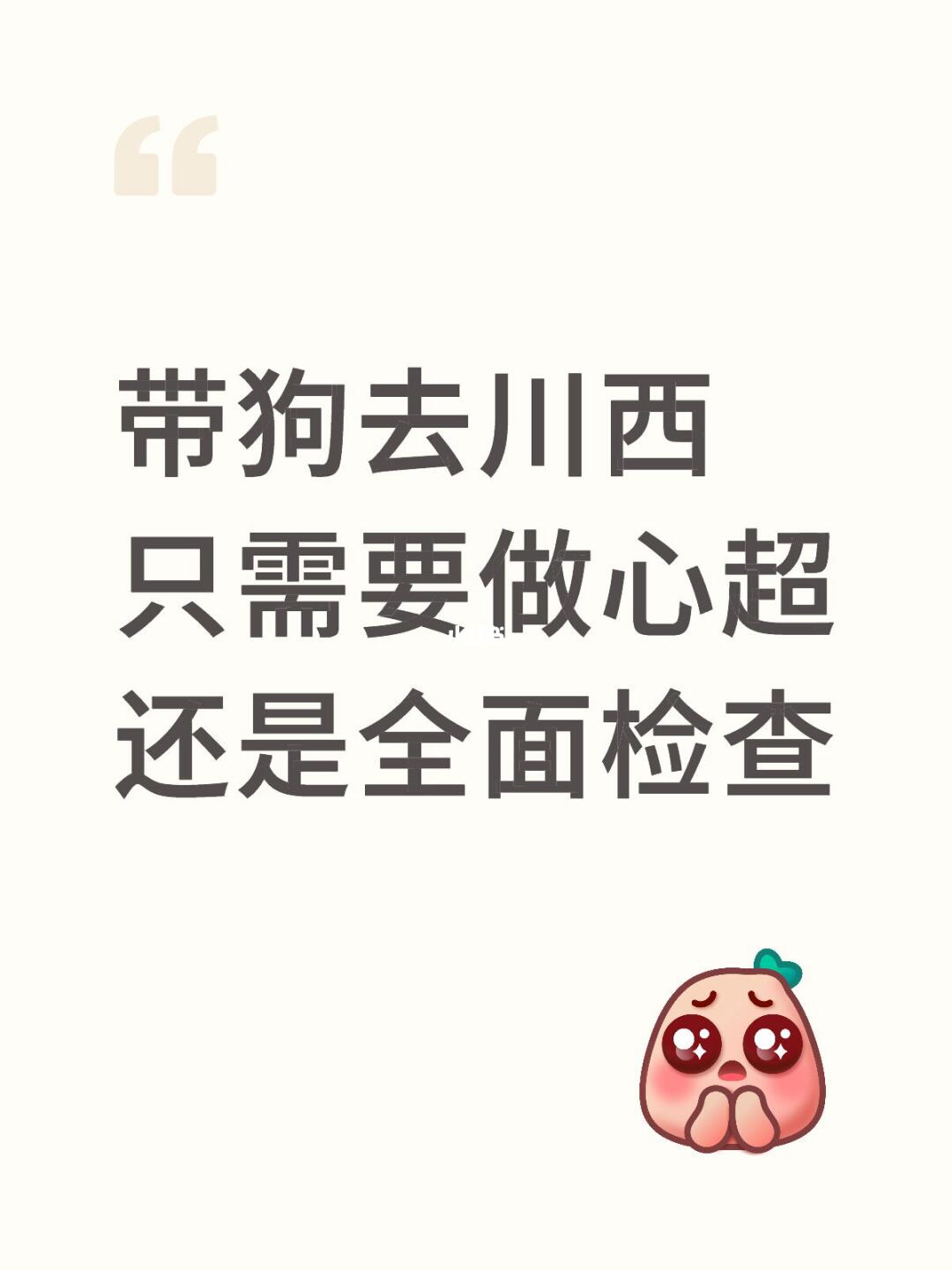 带小狗去川西 6月中应该穿啥