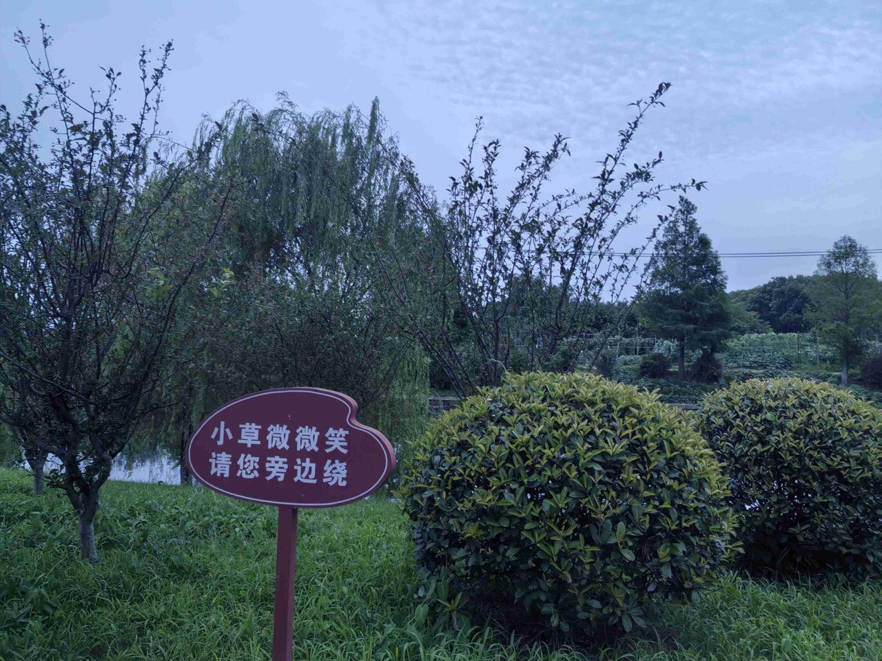 晚上准备睡觉的时候，接到发小玲玲的消息，说另外一个发小敏敏摔伤了，说明天一起去看