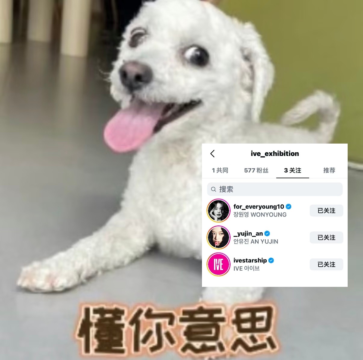 分享图片 
