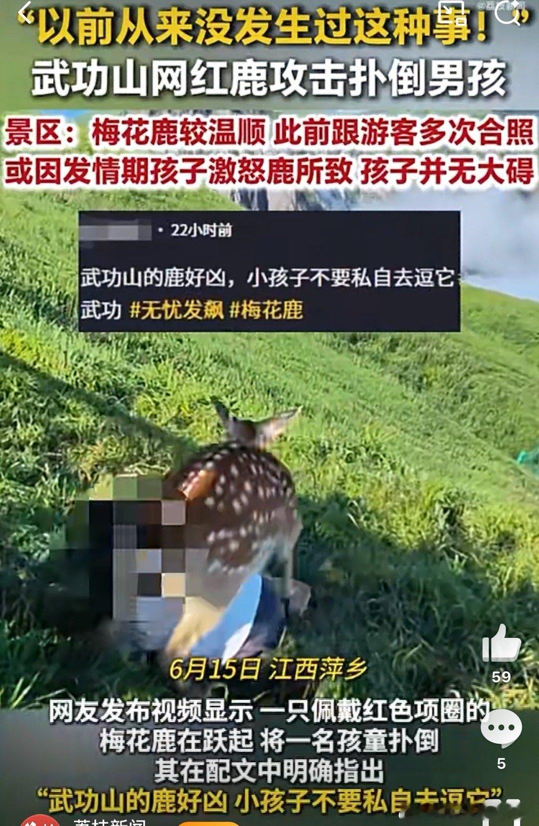 武功山网红鹿扑倒男孩不管是大人还是小孩，都不要随意靠近和逗景区的动物，尤其是那种