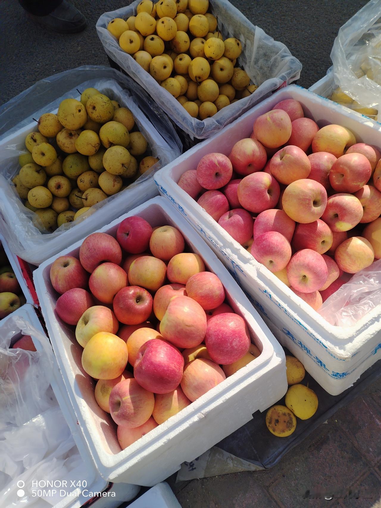 正午的阳光暖暖的，太阳转过去又转回来，我还在老地方没动。今天的大苹果颜色好看，这