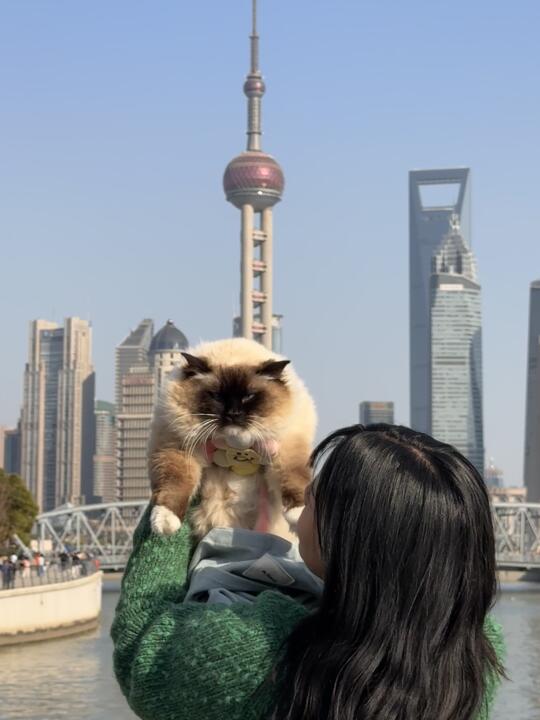 发小弟也是看过东方明珠的潮咪了