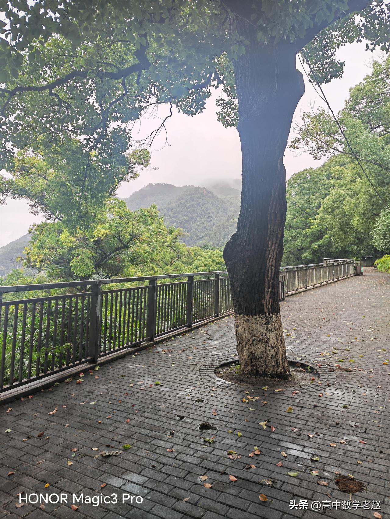 数学学习中需要大量刷题吗? 
       数学学习需要适当刷题，但是更需要思考