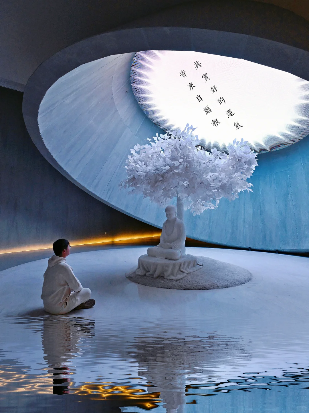 上海出发高铁1h🚄门票69r花的值