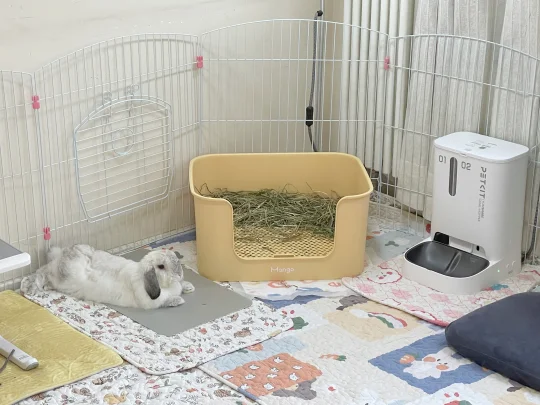 悠宝贝和新饭碗相处良好🥳