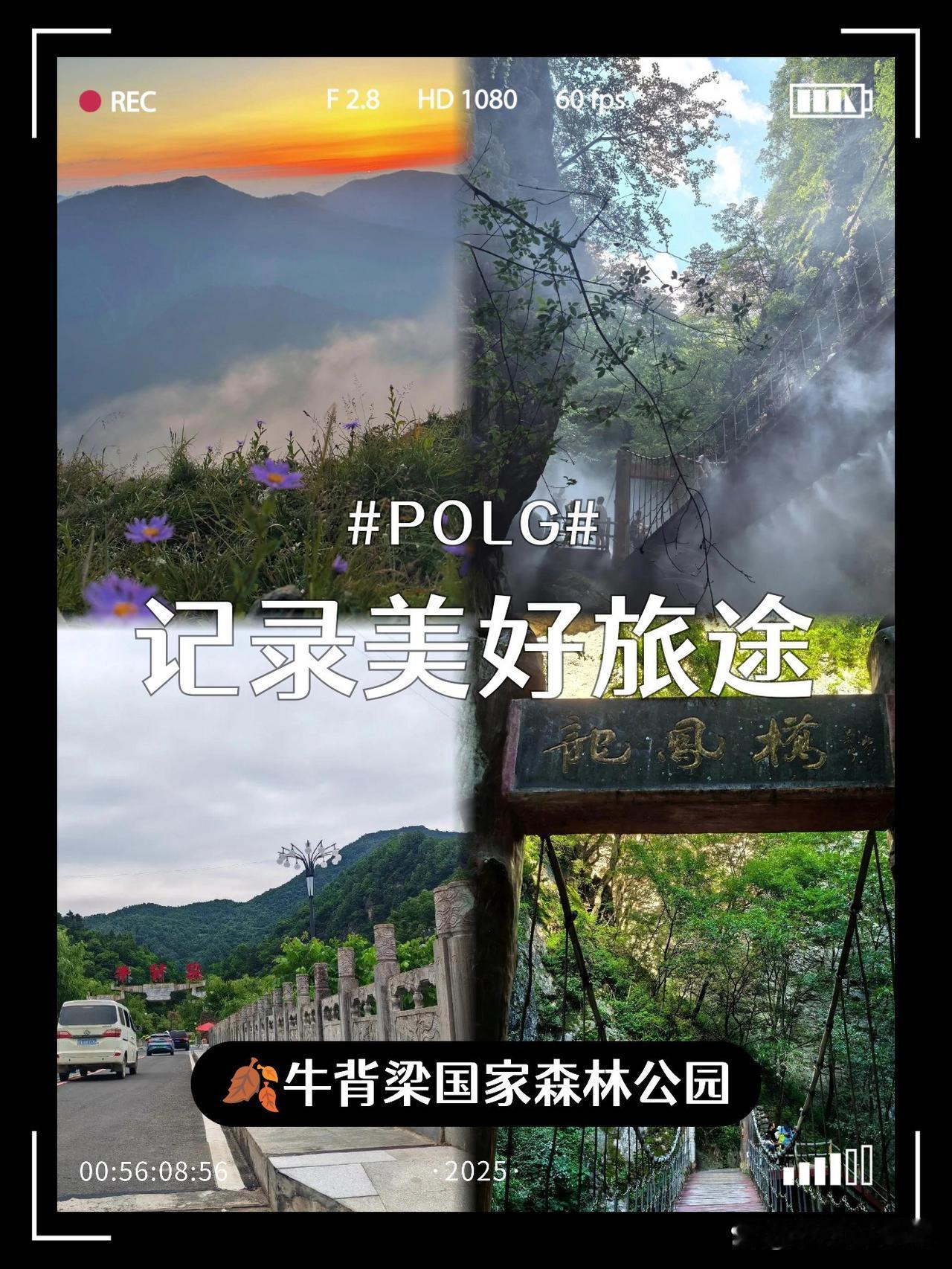 🌿牛背梁徒步路线+避坑指南

刚从牛背梁回来，实测这条路线既能避开人潮，还能解