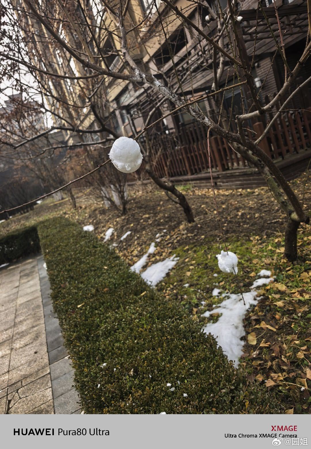 东北就是玩雪的花样比较多，今天我们树上挂雪球