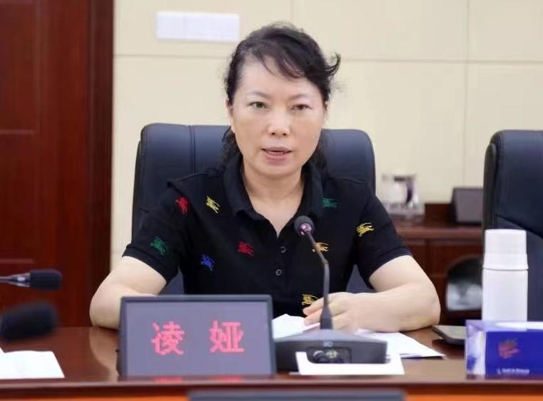 李途纯曾是全国知名企业家，2010年6月是他人生的转折点，而把他推向深渊的便是凌