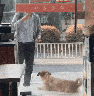 十五年温柔不图名！河南烤鸭店老板的善良，藏着最纯粹的人心
 
世间真正的美好，从