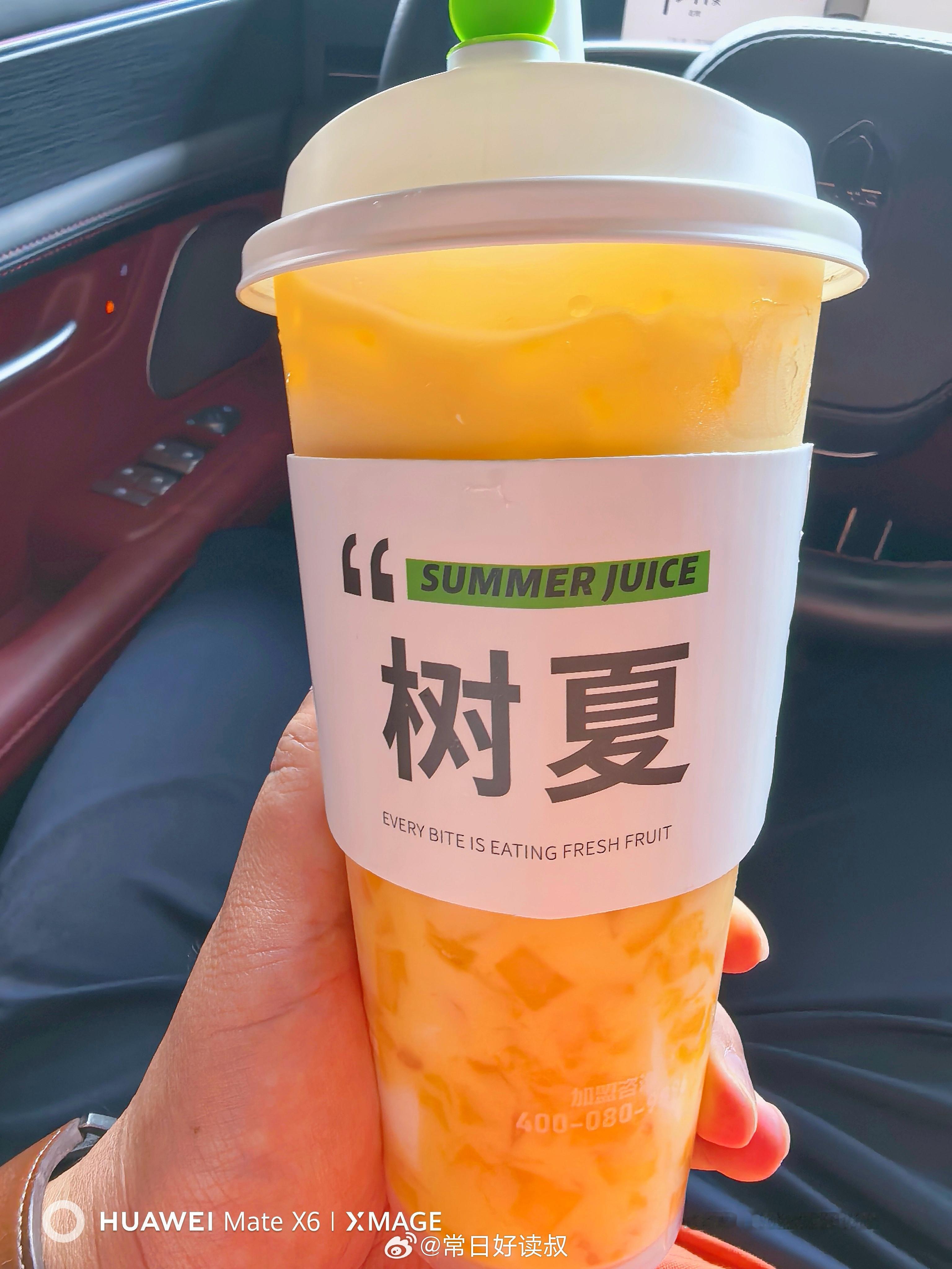 夏天的第一杯奶茶——树夏