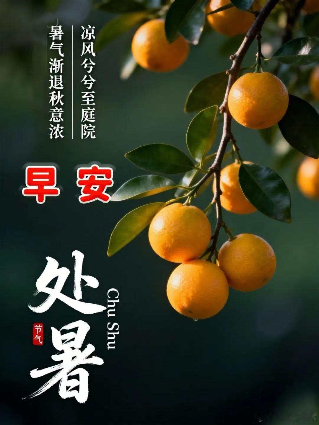 处暑三候｜《月令七十二候集解》处，止也，暑气至此而止矣 。十五天分三候，五日一候