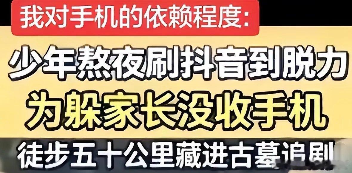 我对手机的依赖程度: 
