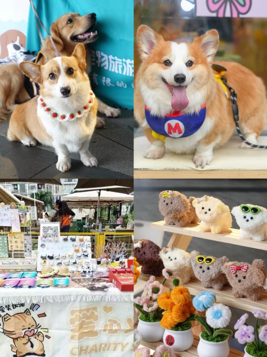 广州铲屎官必冲！毛孩们的专属派对！