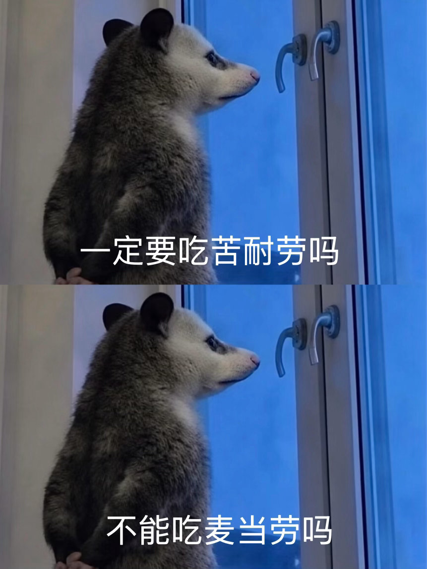 谁能拒绝一只负鼠呢不能