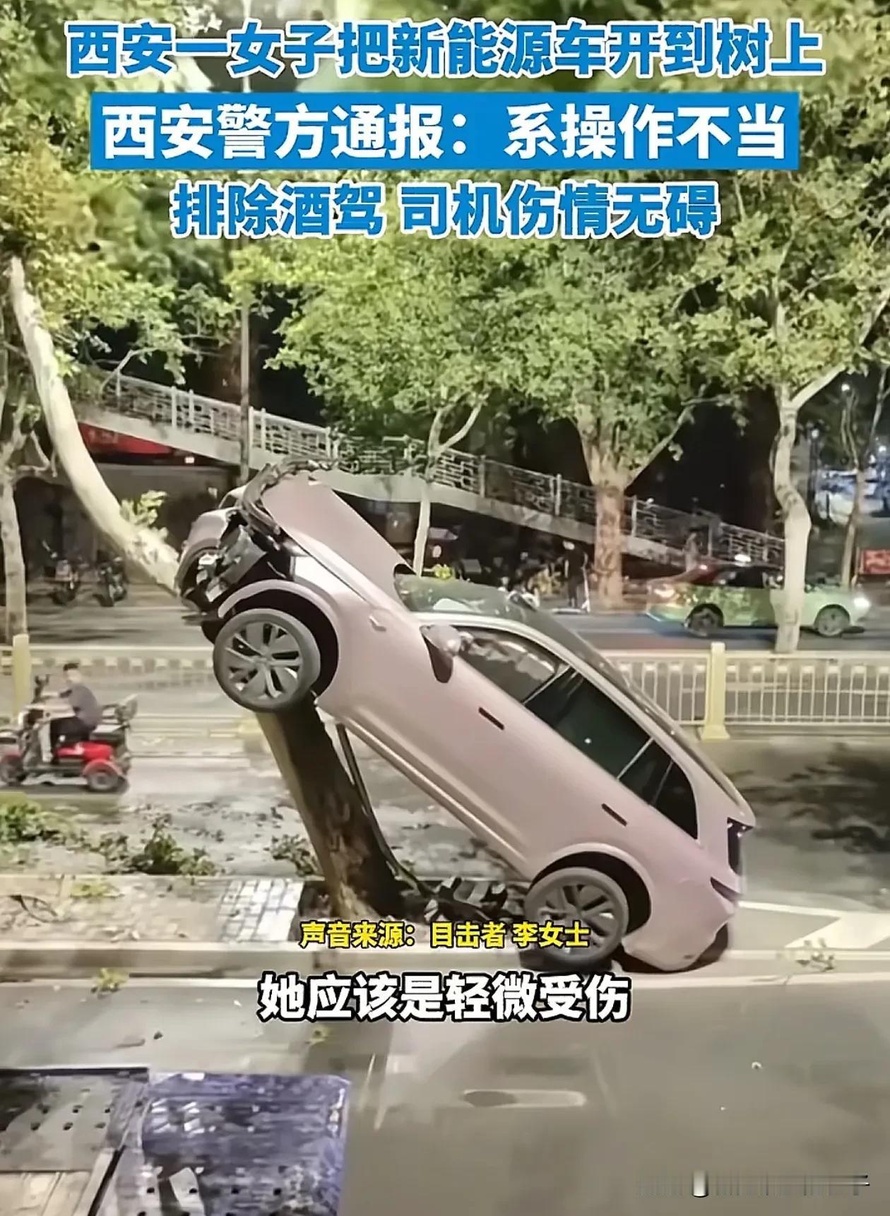 坏消息：理想车主又上热搜了
好消息：这次不是因为乱停车，而是女司机把理想开上树了